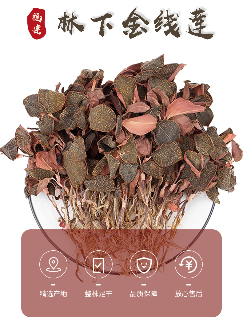 正宗林下<a href=http://m.dgkangle.com.cn/ target='_blank'>金線蓮</a>干品