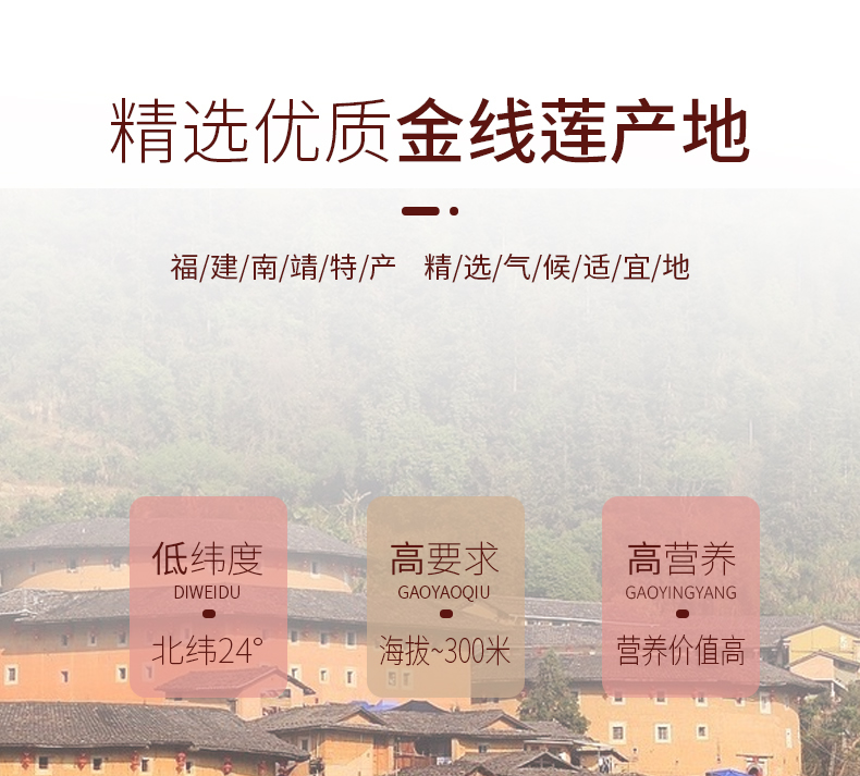 正宗林下<a href=http://m.dgkangle.com.cn/ target='_blank'>金線蓮</a>干品