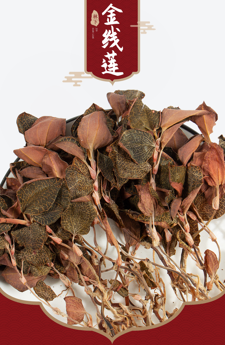 福建南靖<a href=http://m.dgkangle.com.cn/ target='_blank'>金線蓮</a>干品