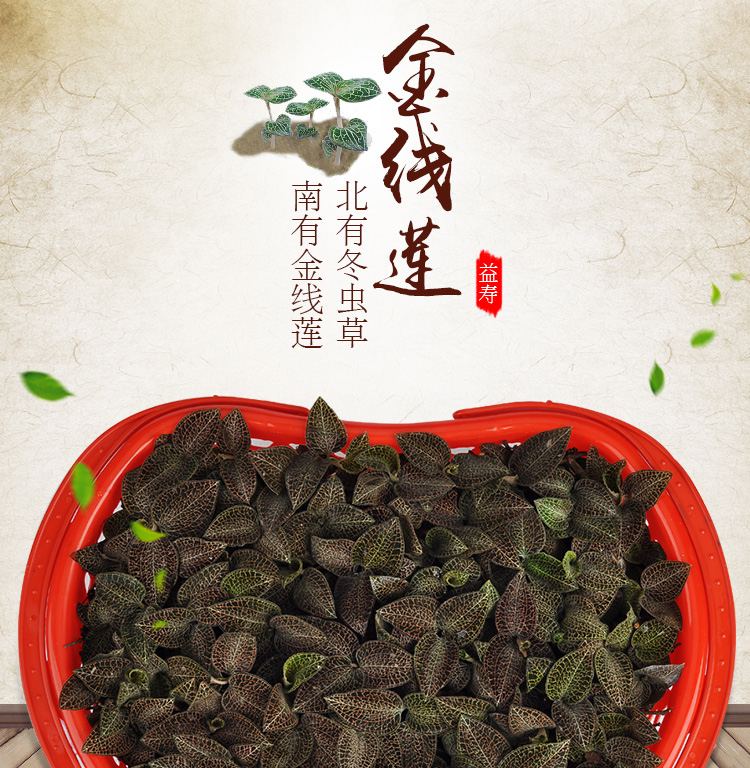 <a href=http://m.dgkangle.com.cn/ target='_blank'>金線蓮</a>鮮品 籃裝